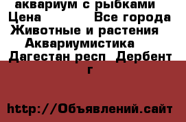 аквариум с рыбками › Цена ­ 1 000 - Все города Животные и растения » Аквариумистика   . Дагестан респ.,Дербент г.